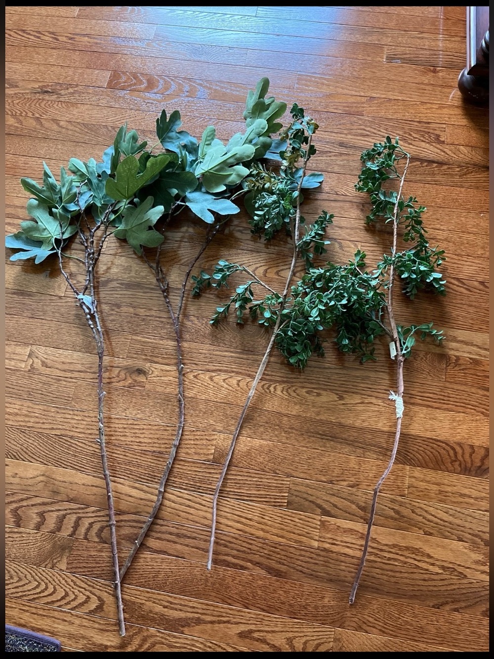 Pier 1 imports leaf branches for Home Decor